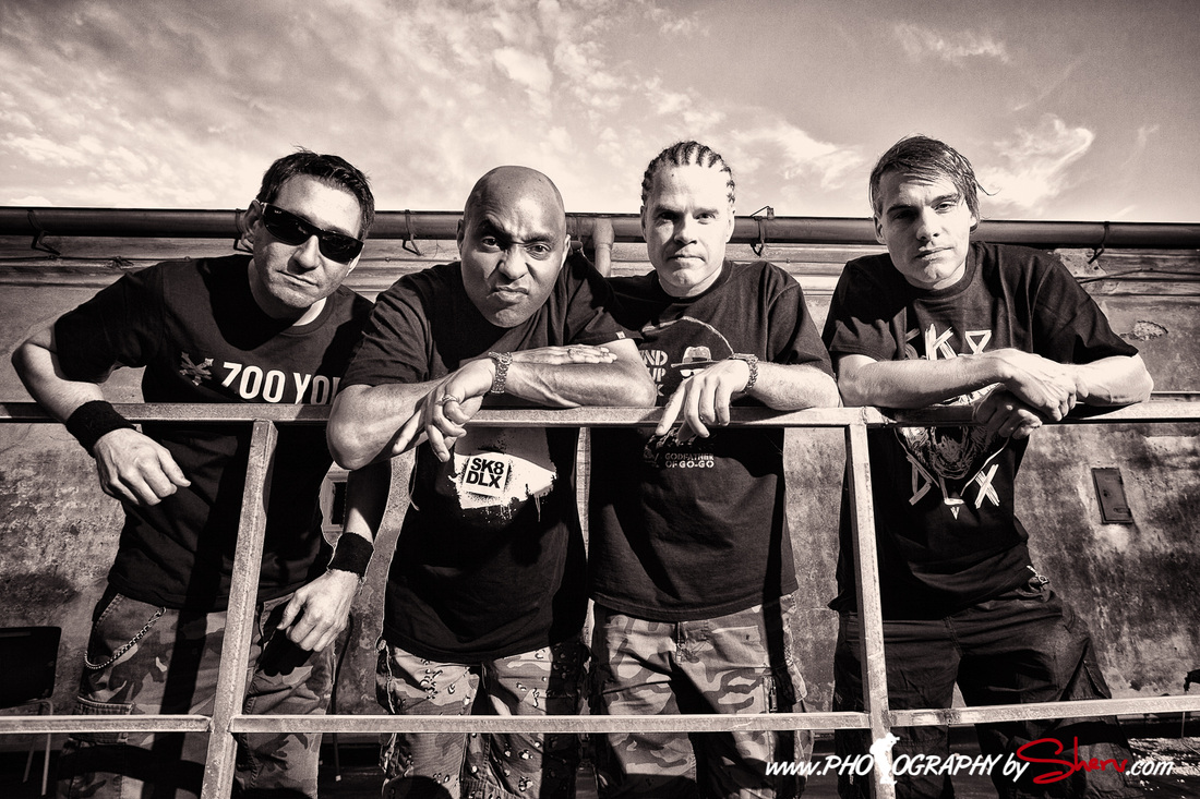 dog eat dog 2013