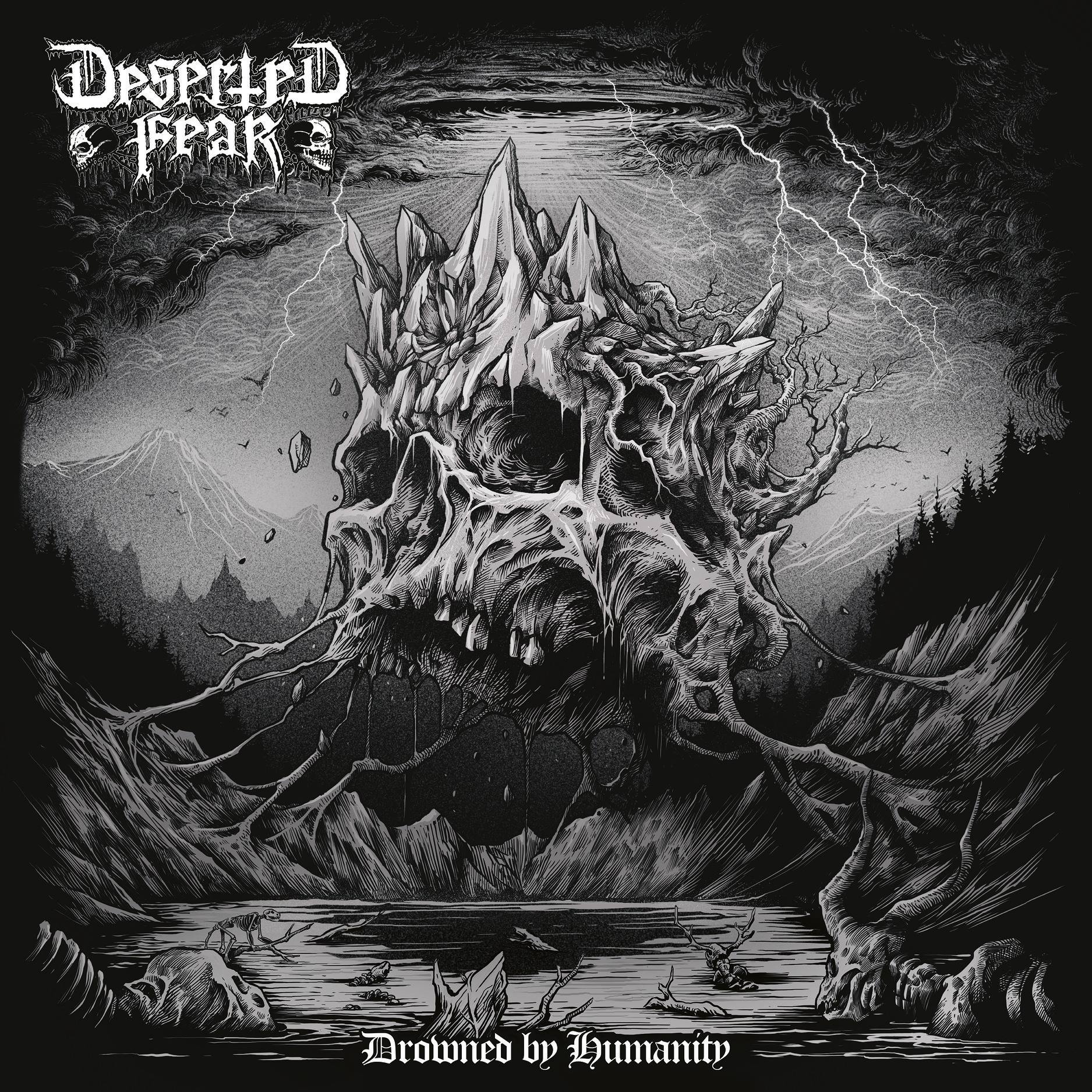 df cover 2019