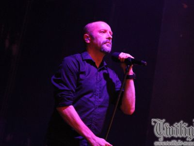 galeriebild