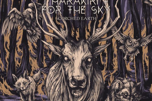 Teaserbild